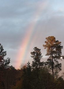 Rainbow in trees; tele-class